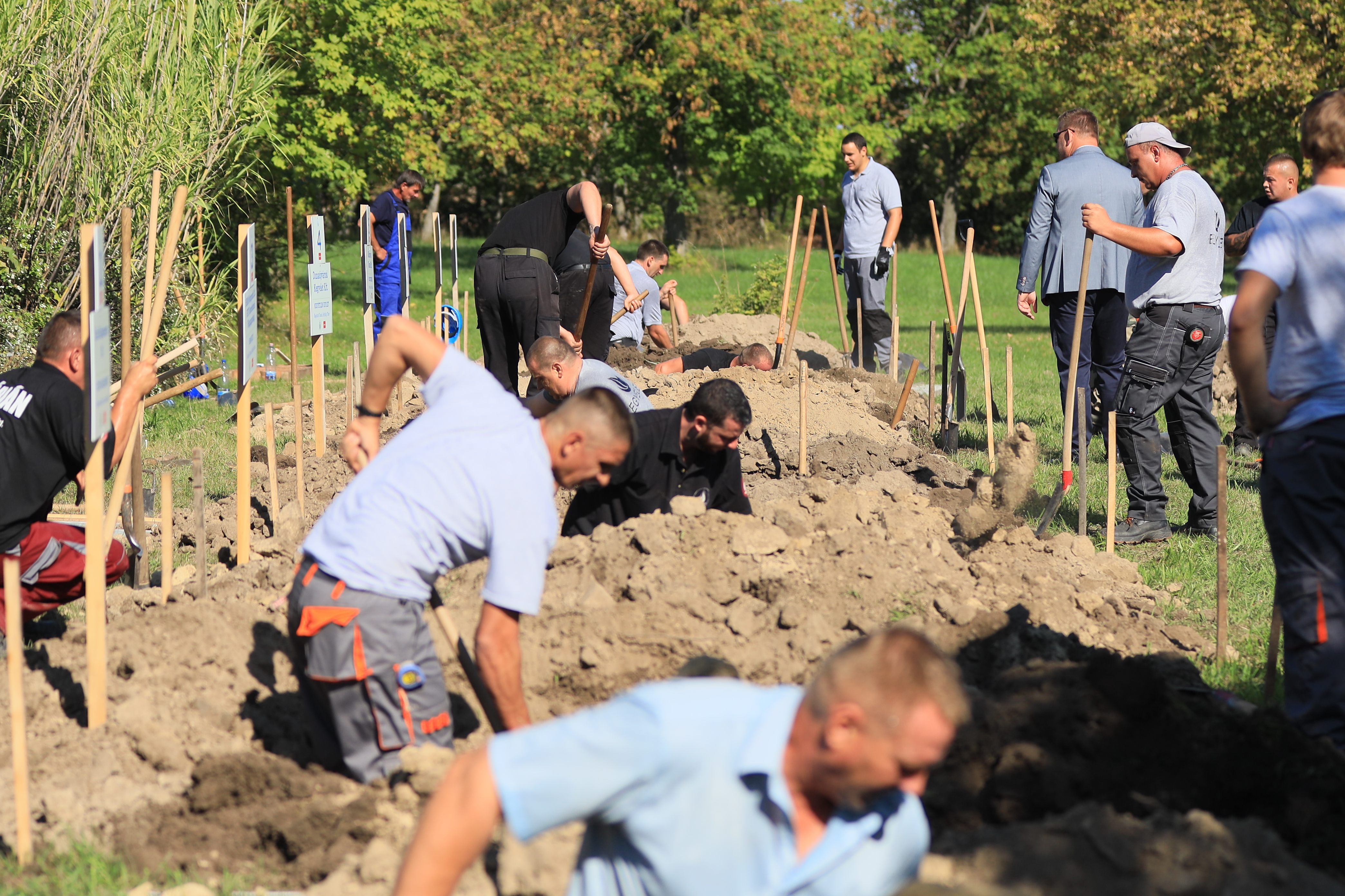MTFE Sírásó Vereny Tata