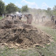 Szeptember 7-én újra összemérik erejüket a sírásó kollégák!