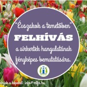ÉVSZAKOK A TEMETŐBEN - felhívás